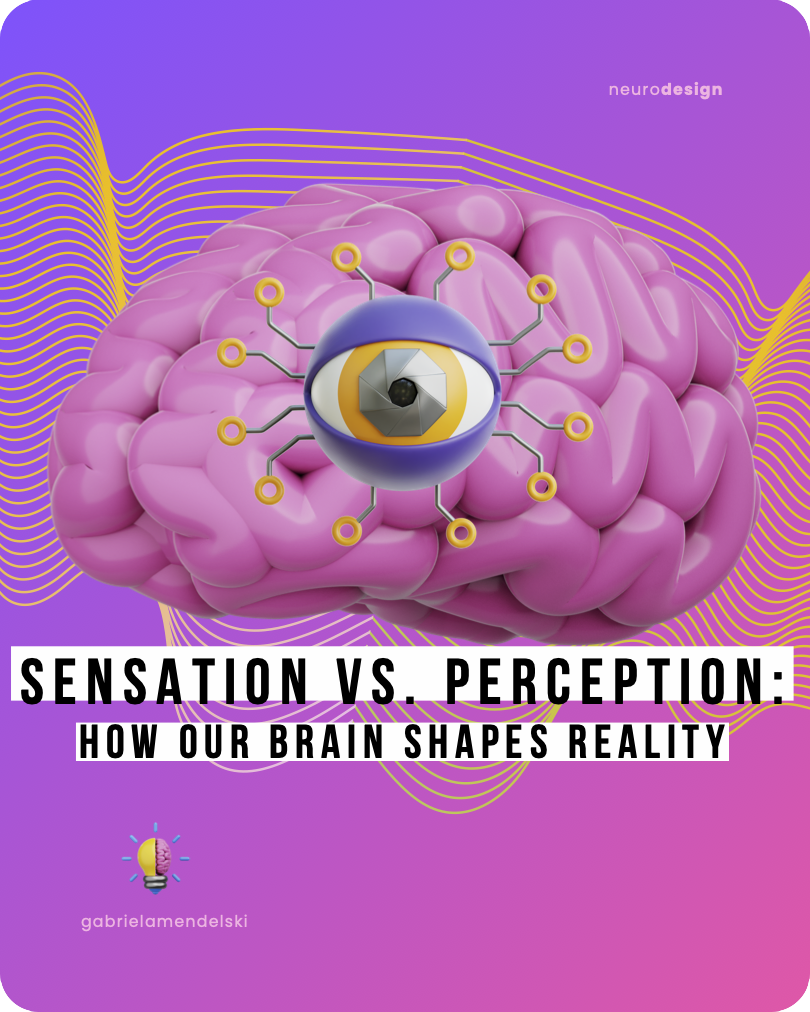 Sensation vs Perception
